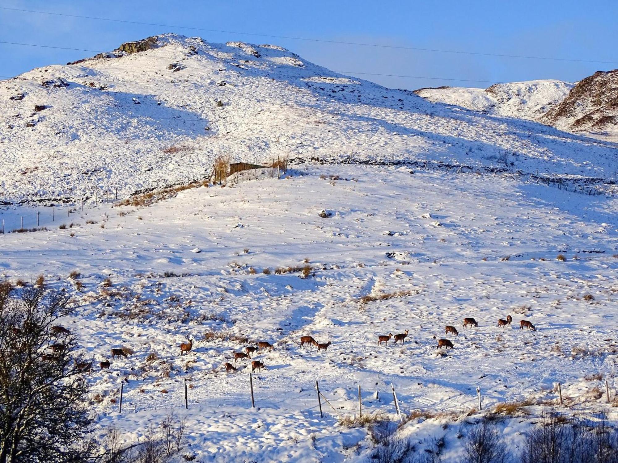 Glengoulandie Lodge Buitenkant foto